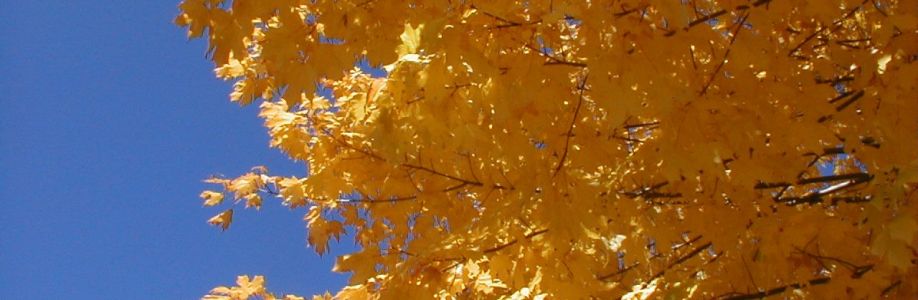 GARY KING Cover Image