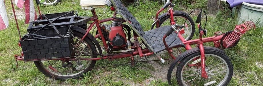 lee bell Cover Image