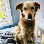 Erin Profile Picture