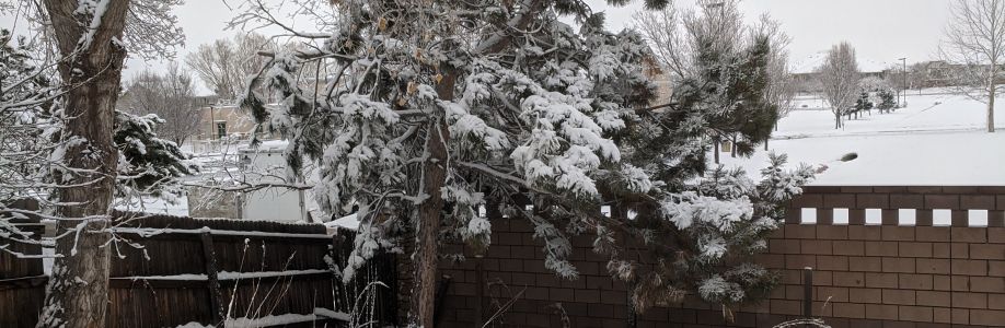 Amanda Runnels Cover Image