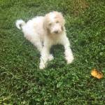 Ashley Stancil Profile Picture