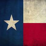 Laura Rohland Profile Picture