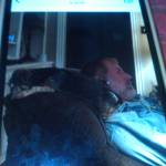 DonnaKayeSmith Profile Picture