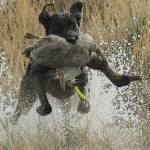 Cindy Galster Profile Picture