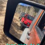 Stephanie Kler Profile Picture