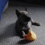 Penny Armold profile picture