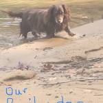 RhondaSteele Profile Picture