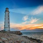 Nancy North Profile Picture