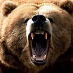 BearoftheSouth Profile Picture