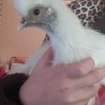 Samantha Tuley Profile Picture