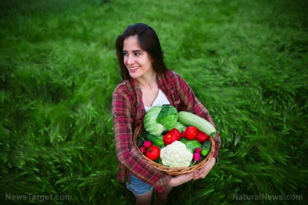 Food supply 101: Unusual sources of food when SHTF – NaturalNews.com