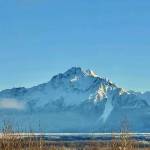 Suzanne Baker Profile Picture