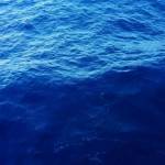 James Welter Profile Picture