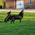 Teresa Stotts-Weinand Profile Picture