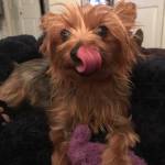 Beej Kinkade Profile Picture