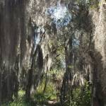 Rachel Barron Profile Picture