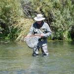 Mike Adair Profile Picture