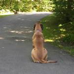 Tricia Jorgensen Profile Picture