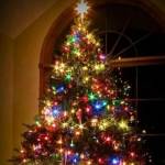 Wendy K Profile Picture