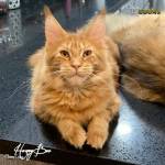 Terry Edmonds Profile Picture