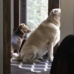 Beth M Profile Picture