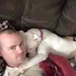 Christopher Collins Profile Picture