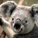 Bill Thompson profile picture