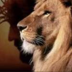 Peggy Jenkins Profile Picture