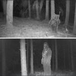 C Nairmore Profile Picture