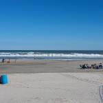 Diane Basile Profile Picture