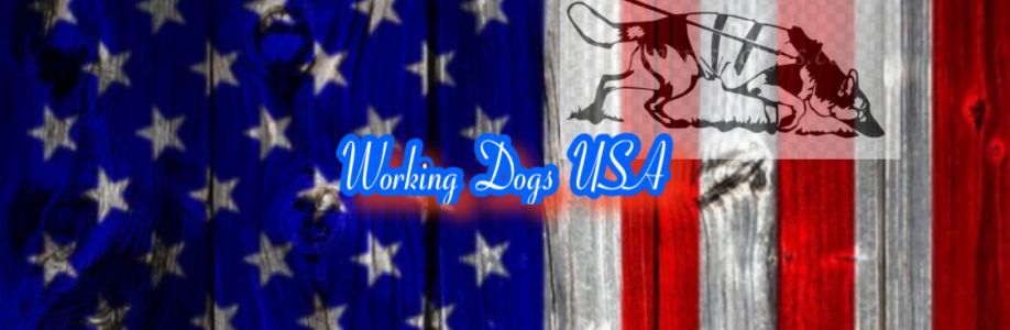 Working Dogs USA Cover Image