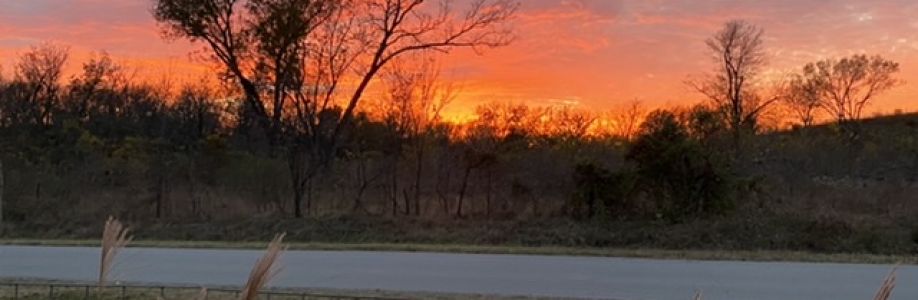 Brenda Moore Cover Image