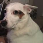 Loree Foraker Profile Picture