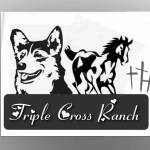 Triple Cross Corgis Profile Picture