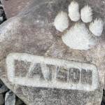 Eddie Watson Profile Picture