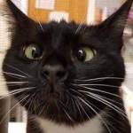 Larry Hillis Profile Picture