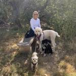 Darlene Helzer Profile Picture