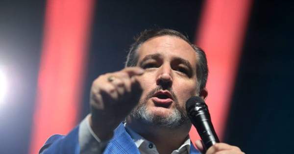 Ted Cruz Blasts Twitter for Censoring Video Alleging Philadelphia Voting Corruption
