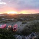 Tiffany Harbour Profile Picture