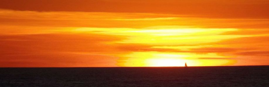 Lenora Shope Cover Image