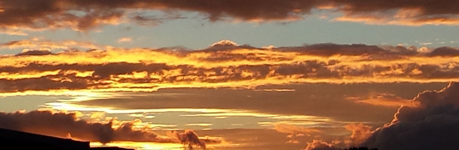 MarkEngleman Cover Image