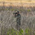 C.A. Maedgen Profile Picture