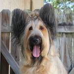 skibbit Profile Picture