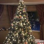 Huladancer Profile Picture