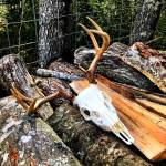 Anthony Williams Profile Picture