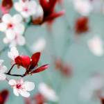 KmarieR Profile Picture