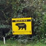 JohnWC Profile Picture