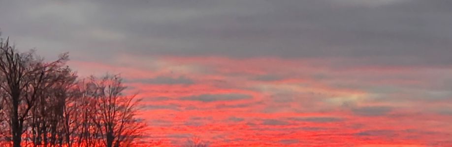 JenLogan2020 Cover Image