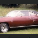 Randy Miller Profile Picture