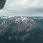 Absolute Reality Profile Picture